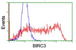BIRC3 Antibody in Flow Cytometry (Flow)