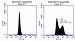 BIRC5/Survivin Antibody in Flow Cytometry (Flow)