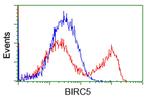 BIRC5/Survivin Antibody in Flow Cytometry (Flow)