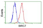 BIRC7 Antibody in Flow Cytometry (Flow)