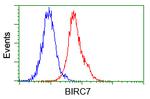 BIRC7 Antibody in Flow Cytometry (Flow)