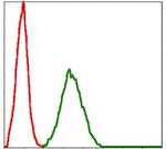 BMI-1 Antibody in Flow Cytometry (Flow)