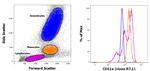 CD11a (LFA-1alpha) Antibody