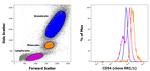 CD54 (ICAM-1) Antibody in Flow Cytometry (Flow)