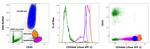 CD44std Antibody in Flow Cytometry (Flow)