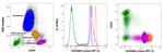 CD44std Antibody in Flow Cytometry (Flow)