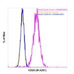 CD26 Antibody