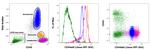 CD44std Antibody in Flow Cytometry (Flow)