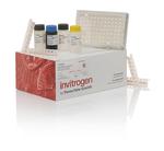 Human IL-6 Receptor (Soluble) Instant ELISA™ Kit (BMS214INST)