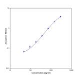 Human Cystatin C ELISA Kit