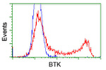 BTK Antibody in Flow Cytometry (Flow)