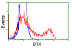 BTK Antibody in Flow Cytometry (Flow)