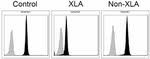 BTK Antibody in Flow Cytometry (Flow)