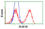 BUB1B Antibody in Flow Cytometry (Flow)