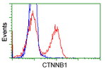 Beta-catenin Antibody in Flow Cytometry (Flow)