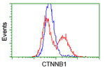 Beta-catenin Antibody in Flow Cytometry (Flow)