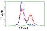 Beta-catenin Antibody in Flow Cytometry (Flow)