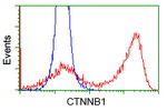 Beta-catenin Antibody in Flow Cytometry (Flow)