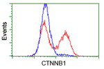 Beta-catenin Antibody in Flow Cytometry (Flow)