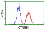 Beta-catenin Antibody in Flow Cytometry (Flow)