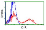 C1R Antibody in Flow Cytometry (Flow)