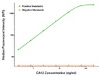 CA12 Antibody in Luminex (LUM)