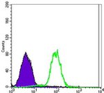 Carbonic Anhydrase IX Antibody in Flow Cytometry (Flow)