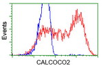 CALCOCO2 Antibody in Flow Cytometry (Flow)