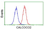 CALCOCO2 Antibody in Flow Cytometry (Flow)