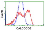 CALCOCO2 Antibody in Flow Cytometry (Flow)