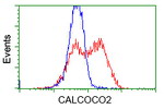 CALCOCO2 Antibody in Flow Cytometry (Flow)