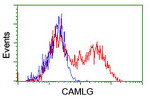 CAMLG Antibody in Flow Cytometry (Flow)