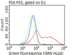 CAT Antibody in Flow Cytometry (Flow)