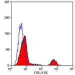 CD20 Antibody in Flow Cytometry (Flow)