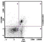 CD200 Antibody in Flow Cytometry (Flow)