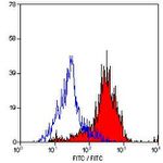 CD204 Antibody in Flow Cytometry (Flow)