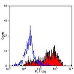 CD206 Antibody in Flow Cytometry (Flow)