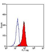 CD206 Antibody in Flow Cytometry (Flow)