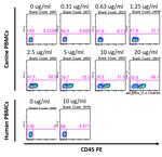 CD28 Antibody in Flow Cytometry (Flow)