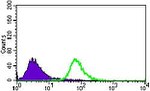 BMPR1A Antibody in Flow Cytometry (Flow)