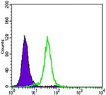 E-cadherin Antibody in Flow Cytometry (Flow)