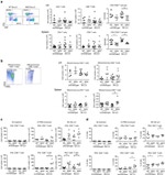 CD4 Antibody in Flow Cytometry (Flow)