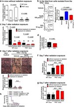 CD61 (Integrin beta 3) Antibody in Flow Cytometry (Flow)