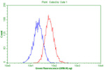 CD63 Antibody in Flow Cytometry (Flow)