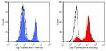 CD8 Antibody in Flow Cytometry (Flow)