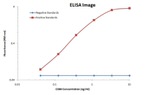 CD80 Antibody in ELISA (ELISA)