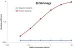 CD80 Antibody in ELISA (ELISA)