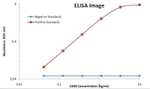 CD80 Antibody in ELISA (ELISA)