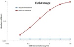 CD80 Antibody in ELISA (ELISA)