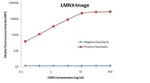 CD80 Antibody in Luminex (LUM)